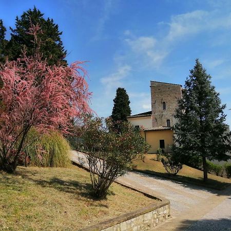 Casa Per Ferie Ulivo D'Assisi Βίλα Εξωτερικό φωτογραφία