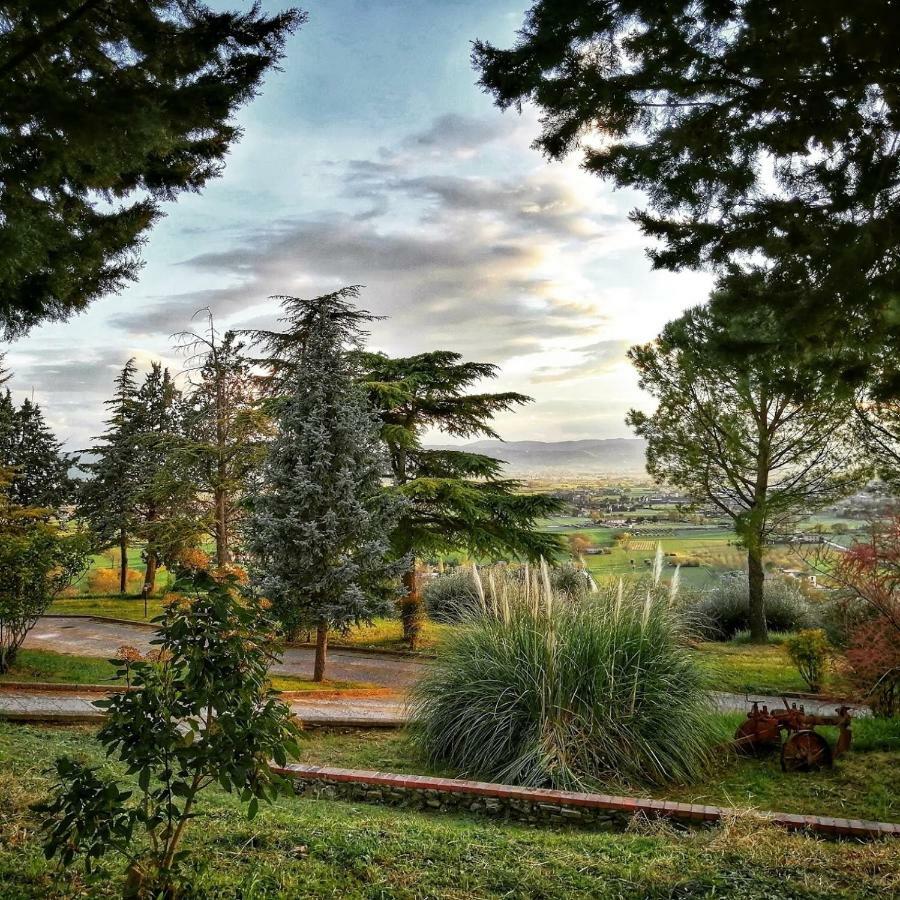 Casa Per Ferie Ulivo D'Assisi Βίλα Εξωτερικό φωτογραφία