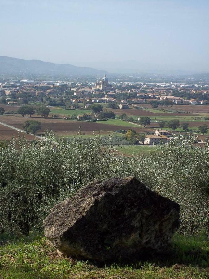 Casa Per Ferie Ulivo D'Assisi Βίλα Εξωτερικό φωτογραφία