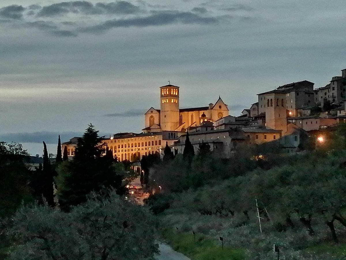 Casa Per Ferie Ulivo D'Assisi Βίλα Εξωτερικό φωτογραφία