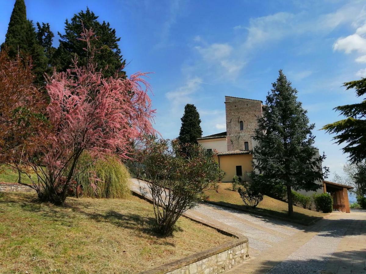 Casa Per Ferie Ulivo D'Assisi Βίλα Εξωτερικό φωτογραφία